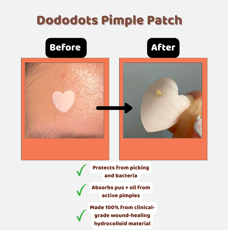 I-WANT-EVERYTHING BUNDLE - 12 PACKS