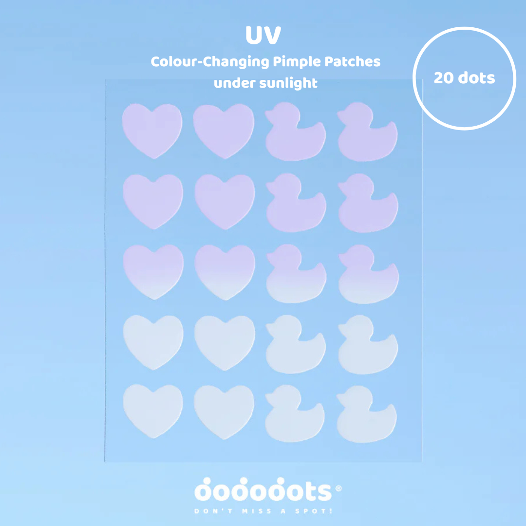 I-WANT-EVERYTHING BUNDLE - 12 PACKS