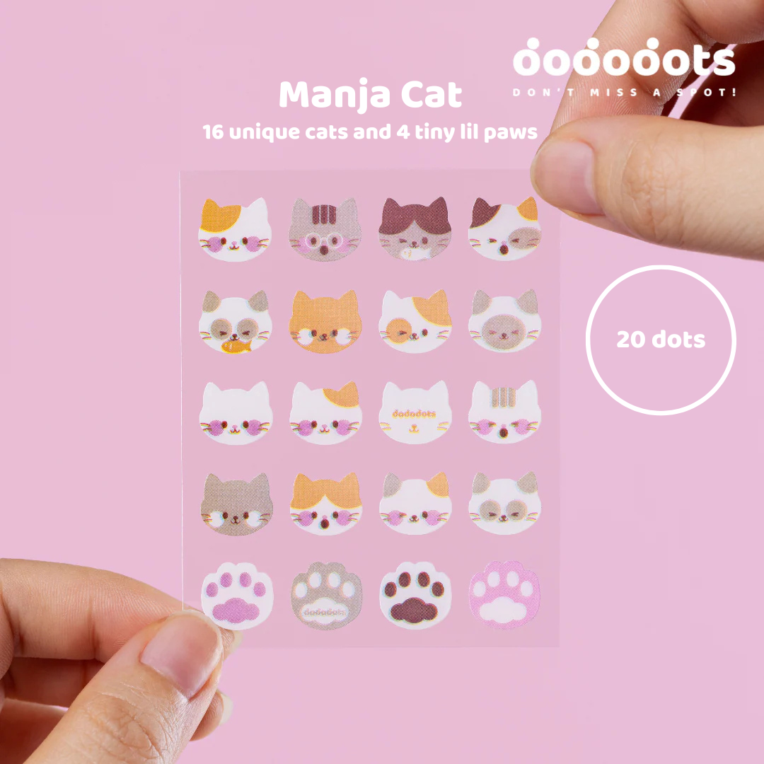 I-WANT-EVERYTHING BUNDLE - 12 PACKS